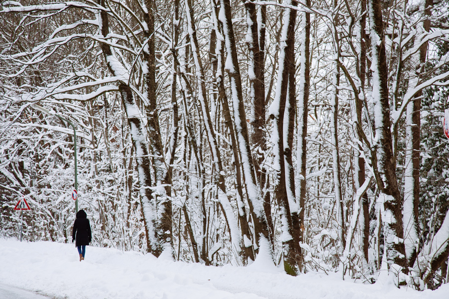 munich sous la neige © celine theret